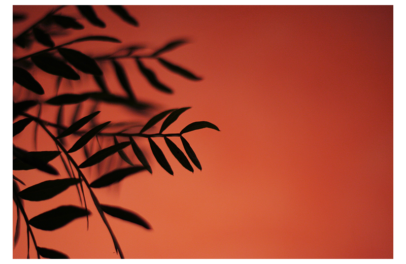 Bf4ee53704909f5c624d942eaaa1ef17 full